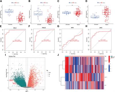 Identification of apoptosis-immune-related gene signature and construction of diagnostic model for sepsis based on single-cell sequencing and bulk transcriptome analysis